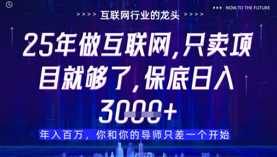 风口已变 25年卖项目更稳赚-九零创业网