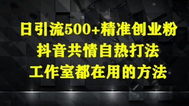 抖音日引流500+创业粉 共情自热秘籍 工作室首选-九零创业网