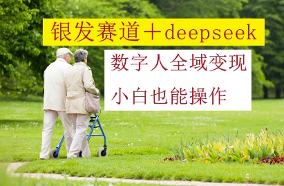 银发市场Deepseek数字人 小白轻松实现全域变现-九零创业网
