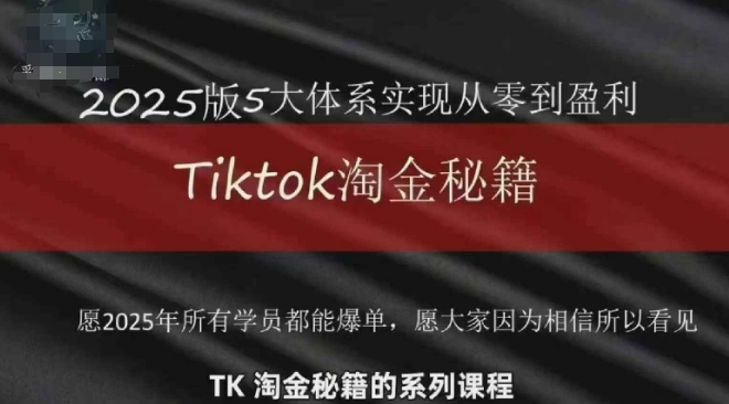 2025年TikTok跨境淘金攻略 从零到盈利 一招制胜-九零创业网
