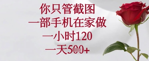 手机一小时赚120 揭秘居家截图日入300秘诀-九零创业网
