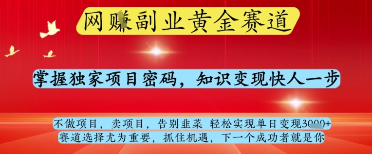 网创副业独家密码 知识变现 轻松日入过千-九零创业网