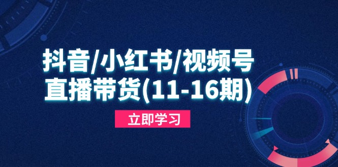 抖音 小红书 视频号直播带货 11 16期带货秘籍大揭秘-九零创业网