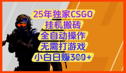 25年CSGO挂机搬砖 全自动日赚3张卡 揭秘无游戏操作-九零创业网