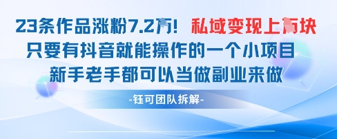 抖音私域项目爆红 23作品涨粉7.2万 变现1万-九零创业网