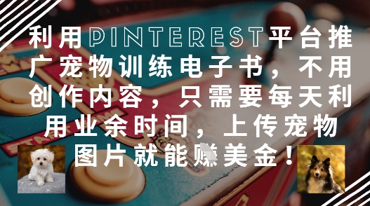 每天宠物照 Pinterest上轻松赚美金