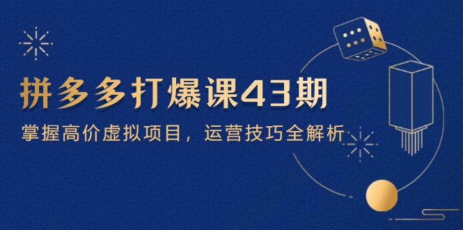 拼多多高价虚拟项目运营攻略 43期精华15节全解密-九零创业网
