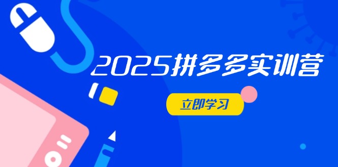 2025拼多多实训营 电商运营秘籍 助力电商新锐飞跃-九零创业网