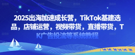 2025出海加速营 TikTok全链路实战教程速成-九零创业网
