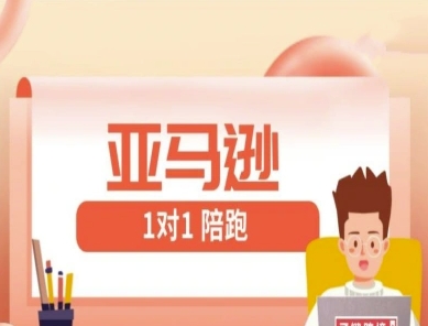 亚马逊FBA/FBM精铺1对1陪跑课 高效跨境教程速成指南