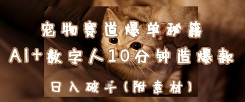 AI赋能宠物潮品 数字人速造爆款 日赚千金 宠物赛道新商机-九零创业网
