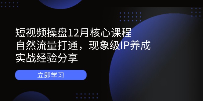 短视频流量破局 自然引流秘籍 IP打造实战解析-九零创业网