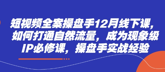 短视频流量大师 打造现象级IP 实战操盘秘籍解码-九零创业网