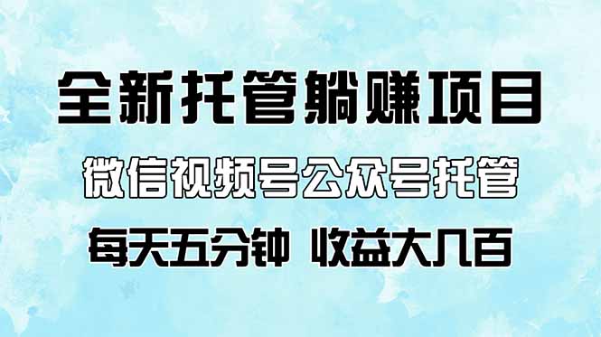 微信视频号托管 5分钟躺赚 日入几百轻松实现-九零创业网