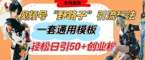 野路子视频号秘籍 单日吸粉50+ 创业必看引流模板-九零创业网