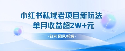 小红书私域新攻略 单月轻松破W+变现秘诀-九零创业网