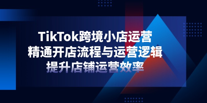TikTok跨境小店高效运营攻略 精通开店与运营秘诀-九零创业网