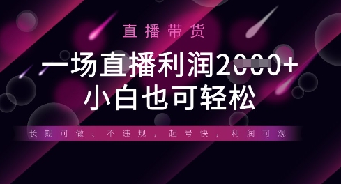 半无人直播带货 轻松盈利 全平台通用 新手必备-九零创业网