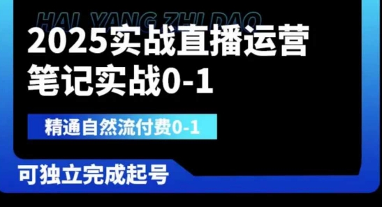 2025实战直播运营 精通自然流付费 独立起号指南-九零创业网