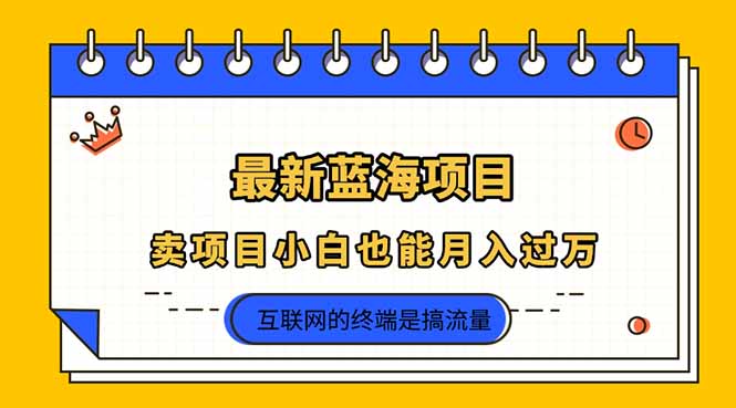 2025年蓝海项目 小白轻松月入过万 揭秘