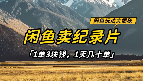 闲鱼纪录片热卖 日入百元 轻松稳定小本项目