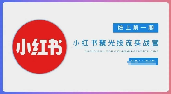 小红书聚光投流入门指南 打造高效付费团队-九零创业网