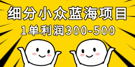 小众蓝海项目 月入过万 单笔利润3倍 轻松实现-九零创业网