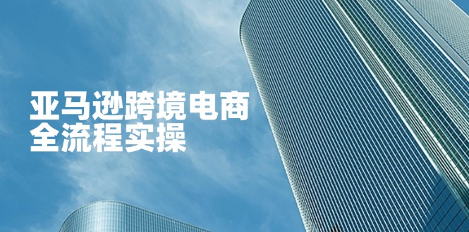 零基础入门 亚马逊跨境电商全流程实操指南