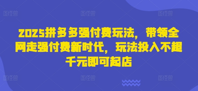 2025拼多强大付费新纪元 千元投入轻松开店领航潮