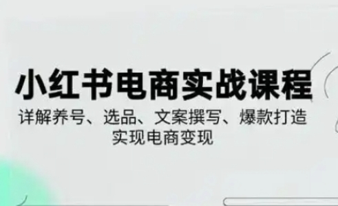 2023 2025小红书电商变现全攻略 养号 选品 文案爆款打造-九零创业网