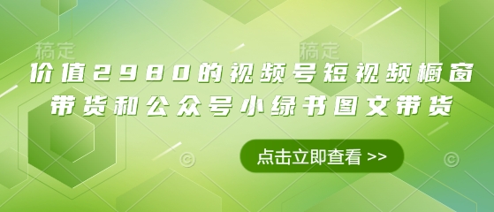 2980元视频号带货攻略 短视频+图文 轻松吸金-九零创业网