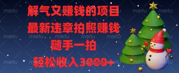 违章拍照轻松赚 随手一拍日进斗金