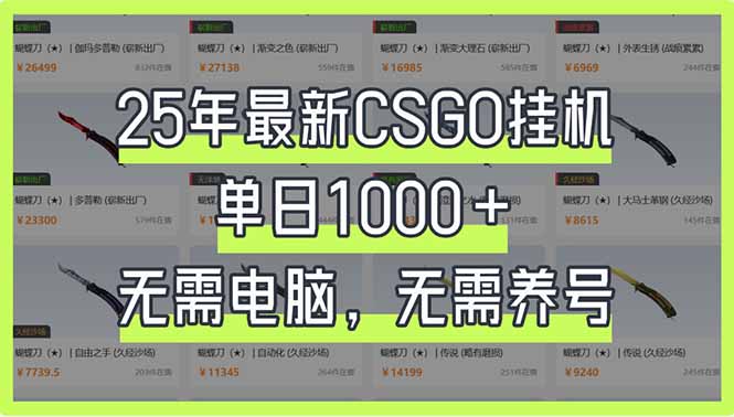 25年CSGO挂机神器 日赚千 电脑手机皆可 新手速来