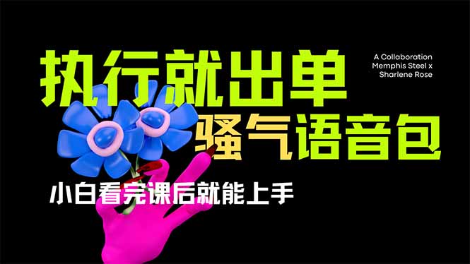 轻松学会骚气导航语音包 小白也能快速上手赚钱