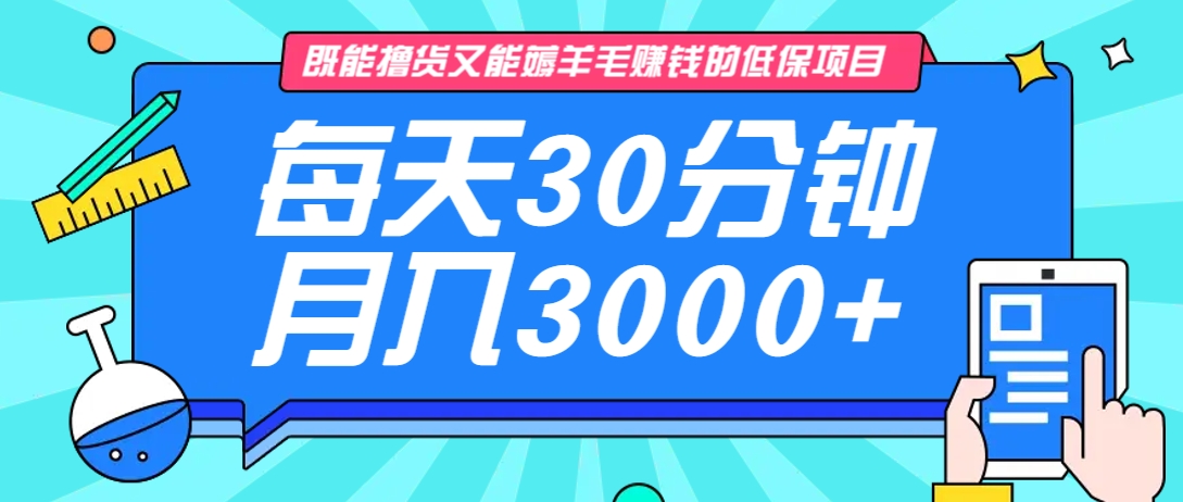 轻松日赚3000+ 30分钟撸货赚翻天-九零创业网