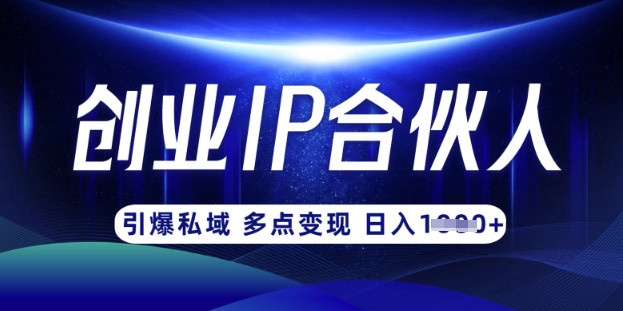 云帆创业合伙人3.0 从零起步 网创月入过W攻略
