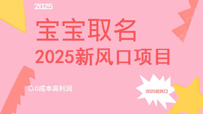 2025新风口 宝宝取名 低成本高回报 保姆级教程月入过万-九零创业网