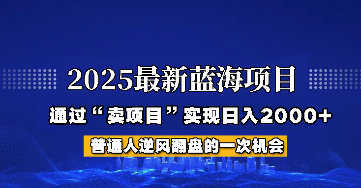 2025蓝海网创项目 日赚2000+轻松起步