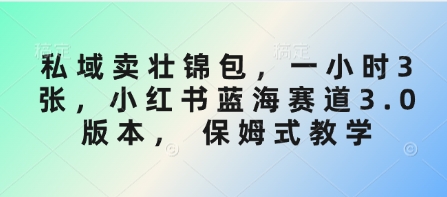 私域热销壮锦包 小红书蓝海3.0 保姆式教学 1小时3单秘诀