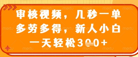 审核视频轻松赚钱 新人日入3单 多劳多得