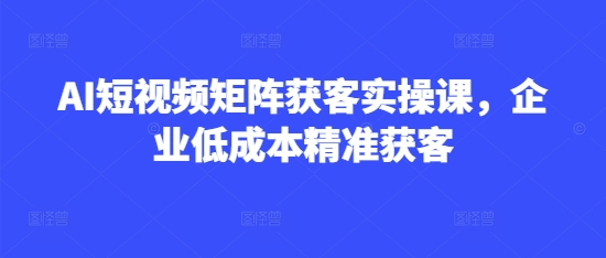 AI短视频矩阵实战课 企业低成本高效精准获客秘诀-九零创业网