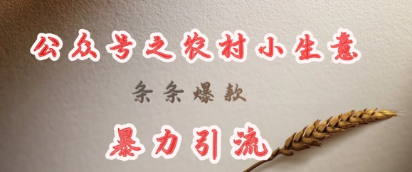 DeepSeek农村项目 爆款引流神器 一招引爆乡村市场-九零创业网