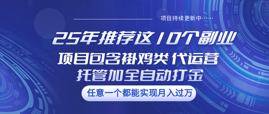 25年精选 10大高收益副业项目 涵盖褂鸡 代运营 全自动打金-九零创业网
