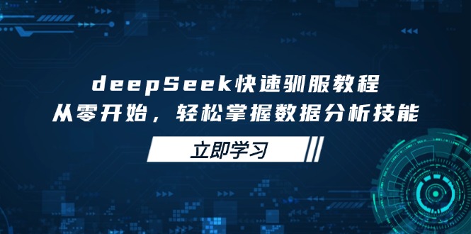 从零入门 DeepSeek数据分析 轻松驯服教程速成-九零创业网