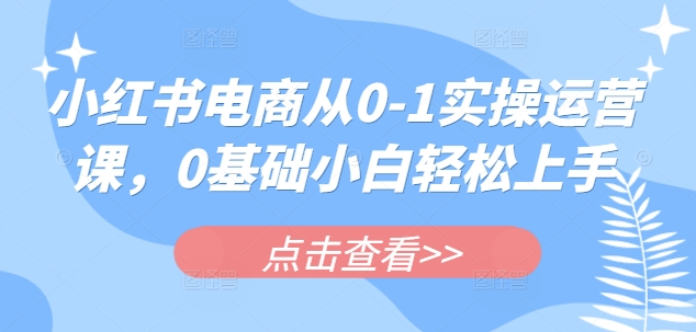 从零开始 小红书电商运营小白速成指南