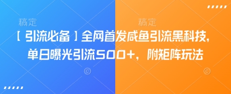 咸鱼引流黑科技首发 日引500+曝光 矩阵玩法揭秘-九零创业网