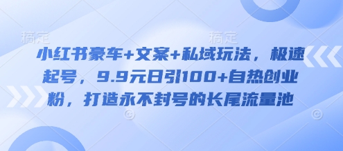 9.9元日吸百粉 豪车文案私域术 打造封号无忧流量池-九零创业网