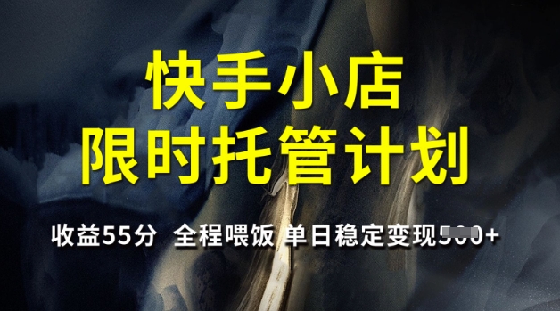 快手托管计划揭秘 日赚5单 全程辅导 收益55分-九零创业网
