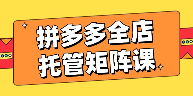 拼多多全店托管矩阵课 盈利动销策略 高效提升店铺效益