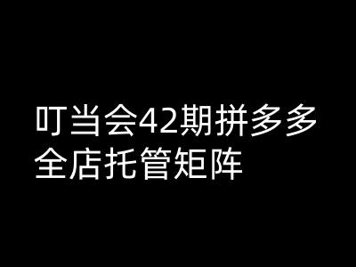 拼多多全店托管矩阵第42期 叮当高阶技术揭秘 打造爆款新篇章